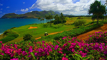 Golf Course, , Rich colors, High-definition visuals HD wallpaper