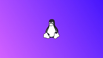 Linux Tux Minimal , linux, computer, minimalism, minimalist HD wallpaper