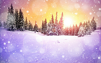 Landscape, Winter, Trees HD wallpaper