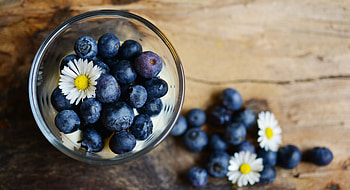 Food, Camomile, Bilberries, Berries, Chamomile HD wallpaper