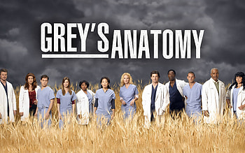 Grey's Anatomy, Fascinating storyline, Captivating performances, Medical challenges HD wallpaper