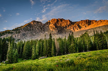 Scenic sunrise view of forested mountain landscape in Alta, Utah, showcasing vibrant natural beauty. HD wallpaper
