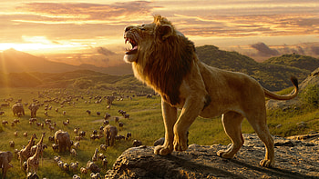 Simba in The Lion King HD wallpaper
