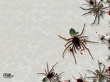Killer Ants, ants, big, bugs HD wallpaper