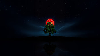 Red Moon Tree, red, moon, tree, sky, star, artist, artwork, art, digital-art, ai HD wallpaper