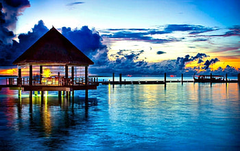 Resort, nature, tree, sunset HD wallpaper