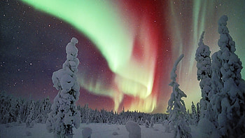 Aurora borealis, Finland travels, Lapland, Mobile backgrounds HD wallpaper