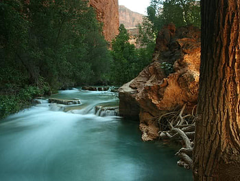 Havasau Falls, Arizona, falls, trees, water, rock HD wallpaper