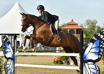 Francesca Guidi, Equitation HD wallpaper