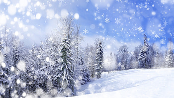 Landscape, Winter, Trees, Snow, Fir-Trees HD wallpaper