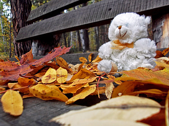 Autumn, Leaves, Miscellanea, Miscellaneous, Bear, Toy, Loneliness, Bench HD wallpaper