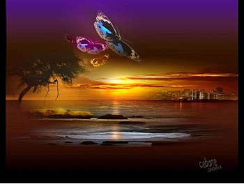 Sunset Butterflies, butterflies, lake, tree, sunset HD wallpaper