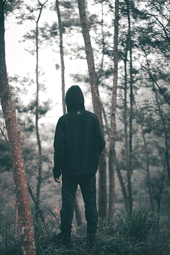 A lone hiker stands in a foggy forest, embracing solitude amidst nature. HD phone wallpaper