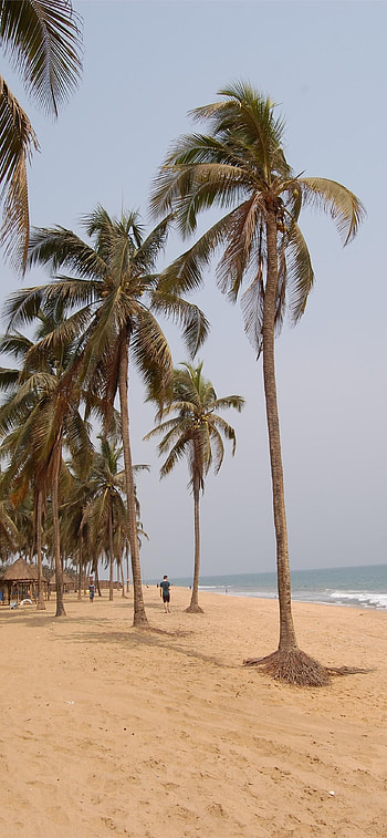 Benin, Mobile , Benin landscapes, backgrounds HD phone wallpaper
