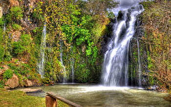 amazing waterfall r, rails, vines, waterfall, r, cliff HD wallpaper