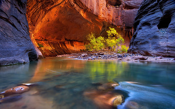 Zion, mountain river, sunset, evening, orange rocks, Zion National Park Lodge, Utah, USA HD wallpaper