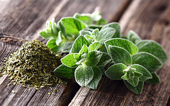 Oregano oil benefits, Natural medicine, Healing properties, Wellness HD wallpaper