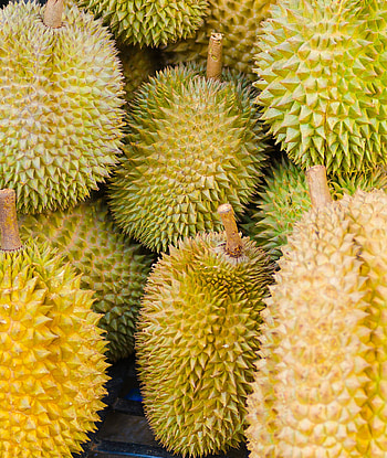 Super capacitors, Second career, Stinky fruit, Sustainable energy HD phone wallpaper