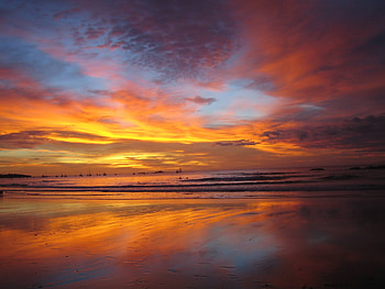 Tampa Sunset, sea, bay, sand, beach HD wallpaper