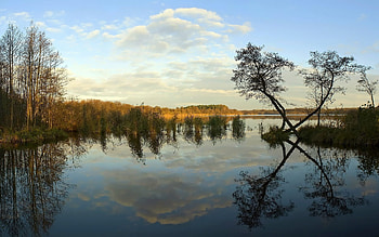 Landscape, Rivers, Trees HD wallpaper