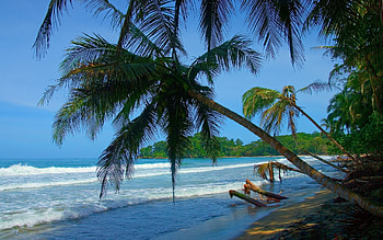Punta Uva, Costa Rica HD wallpaper