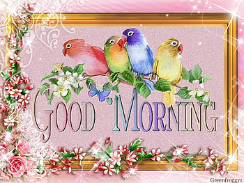 GOOD MORNING, MORNING, COMMENT, CARD, GOOD HD wallpaper