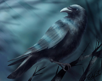 Art, Bird, Branch, Raven HD wallpaper