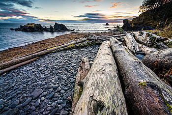 Nature, Sunset, Stones, Coast, Logs HD wallpaper