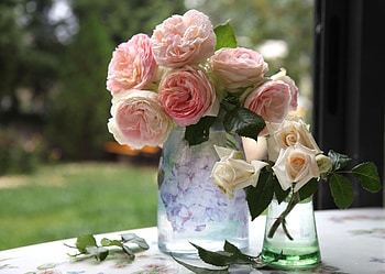 Flowers, Roses, Bouquet, Vase, Garden HD wallpaper