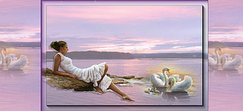 SWANS, WHITE, SUNSET, FEMALE, LAKE HD wallpaper
