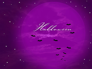 bats on purple sky, halloween, purple, bat, sky HD wallpaper