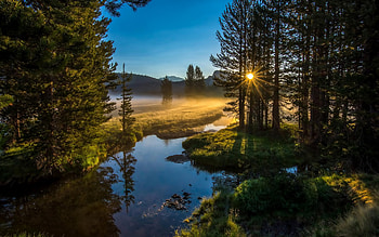 Landscape, Rivers, Trees HD wallpaper