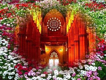 PRAYER TIME, flowers, sunlight, church, lights HD wallpaper