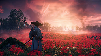 Ghost of Tsushima : Samurai at Sunset in Red Fields, Ghost of Tsushima HD wallpaper