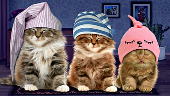 Good Night!, night, blue, kitten, animal, cute, cat, pisica, pink, funny, card, trio, hat HD wallpaper