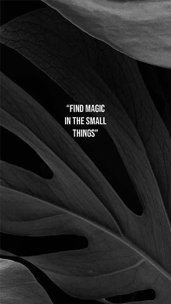 Black Leaves w Quote, notes, leaf, quotes HD phone wallpaper