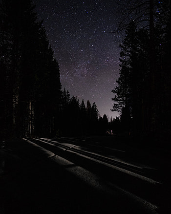 Night, dark, road, starry sky, trees HD phone wallpaper