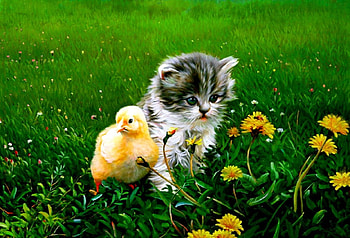 Two little friends, kitten, chicken, kitty, cute, wildflowers, painting, animals, greenery, adorable, friends, sweet, art, meadow, cat, beautiful, grass, fluffy, summer, pretty, freshness HD wallpaper