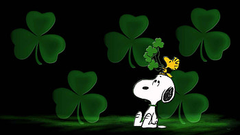 Peanuts St Patricks, Green, Shamrocks, Woodstock, Snoopy, St Patricks HD wallpaper