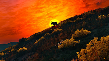 The Witcher 3 WIld Hunt, the-witcher-3, games, ps4-games, xbox-games, pc-games HD wallpaper