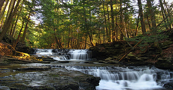 Salt Spring State Park, Pennsylvania, sunshine, river, white, pennsylvania, salt, spring, park, rock, state, waterfall, trees, nature, sky, water, forest HD wallpaper
