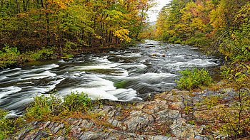 Beaver's Bend Broken Bow Fall Foliage, Oklahoma, river, trees, usa, stones, stream HD wallpaper