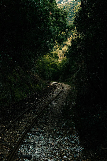 Alley, Nature, Forest, Railway, Rails HD phone wallpaper
