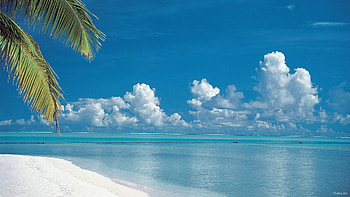 Landscape, Sea, Beach, Summer HD wallpaper