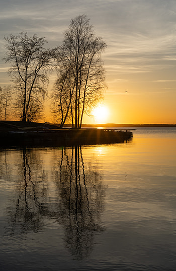 Nature, Water, Trees, Sunset, Lake, Reflection HD phone wallpaper