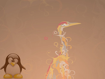 tux hardy heron , heron, hardy, hardy heron, ubuntu, tux HD wallpaper
