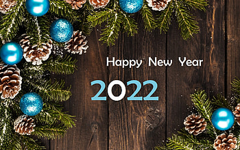 Happy New Year!, pine cones, spruces, 2022, new year, wooden HD wallpaper