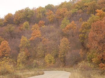 Rodopi, bulgaria, autumn, , mountain HD wallpaper