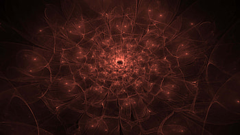 Brown Flower Petal Fractal Dots Lines Abstract HD wallpaper