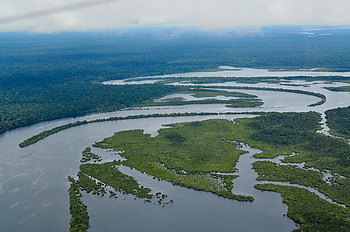 Amazon River, Brazil HD wallpaper
